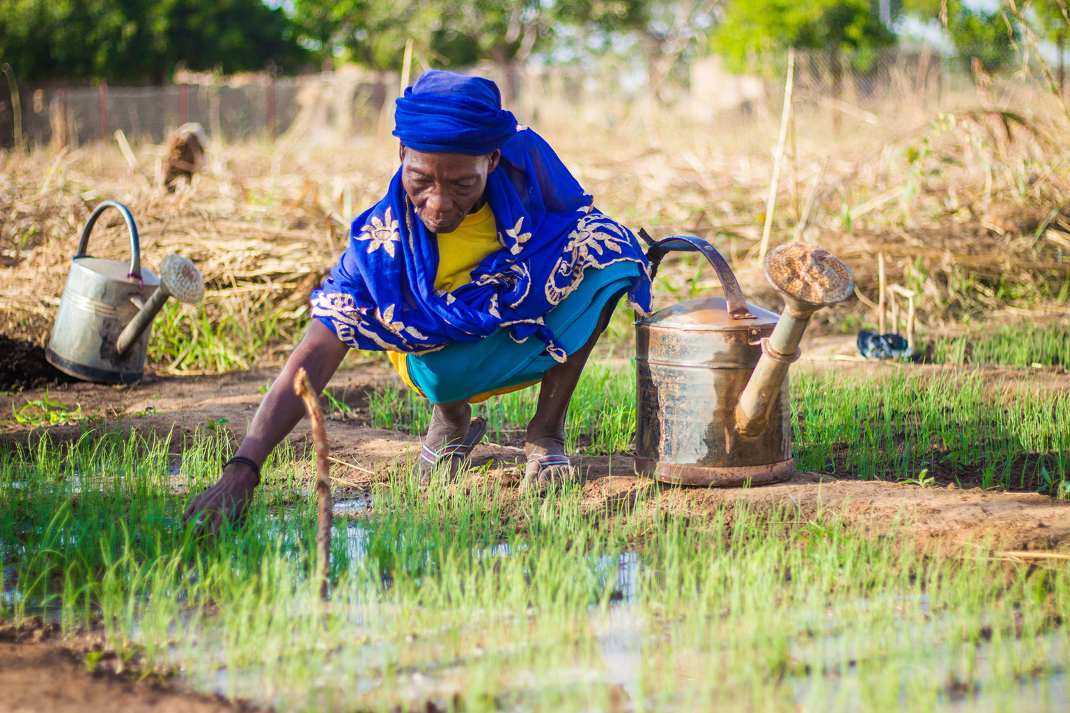Eine Kleinbäuerin auf dem Feld in Burkina Faso. 