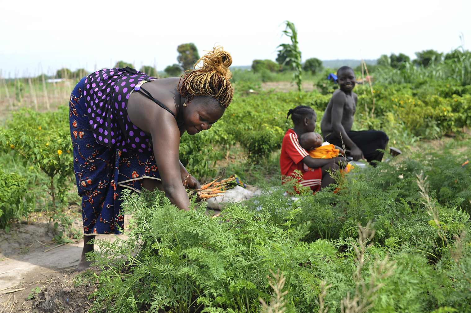 Frauen bei Feldarbeit