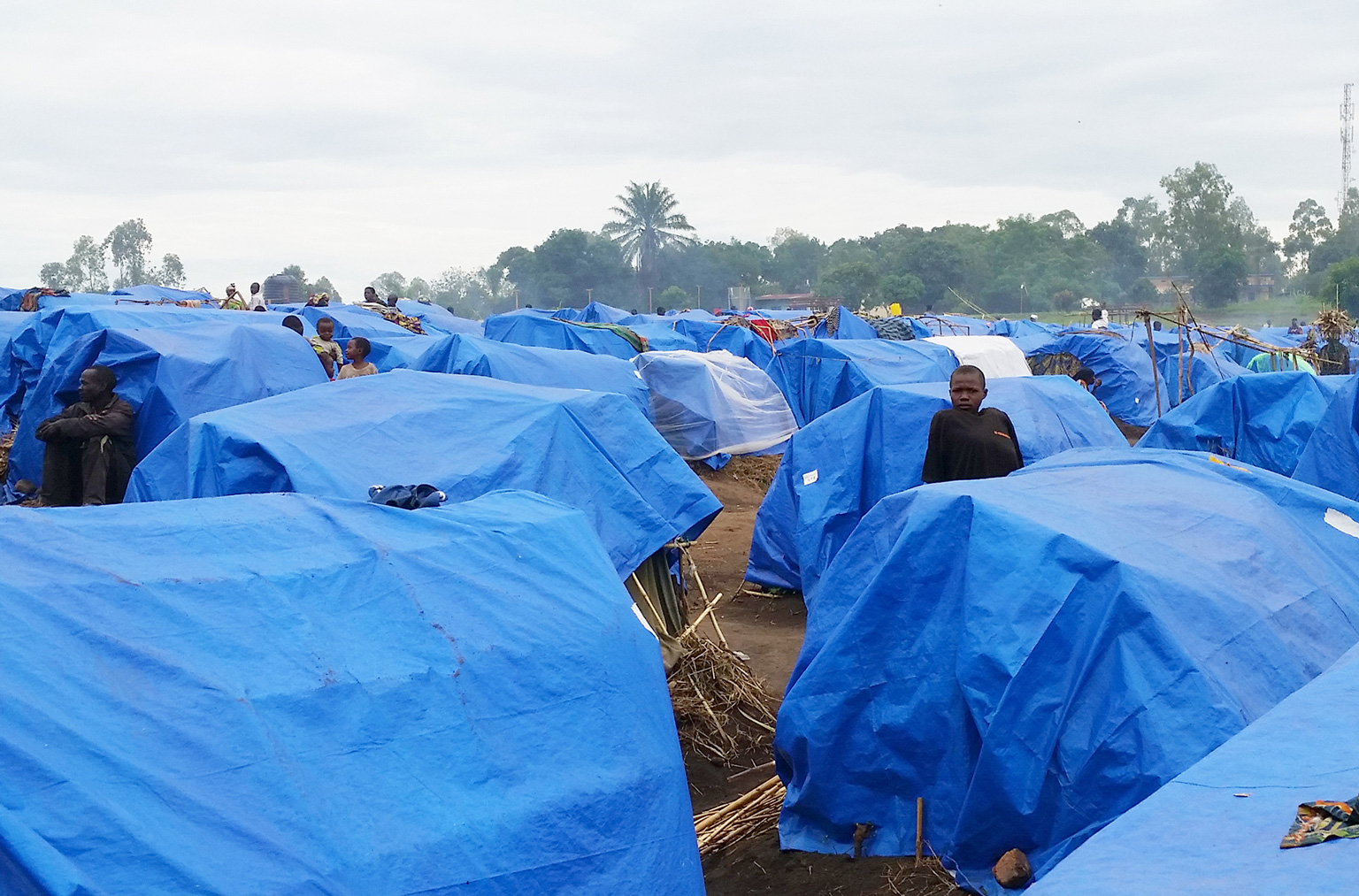 Blaue Zeltunterkünfte im Flüchtlingscamp Mudjipela in der Provinz Ituri, DR Kongo. 