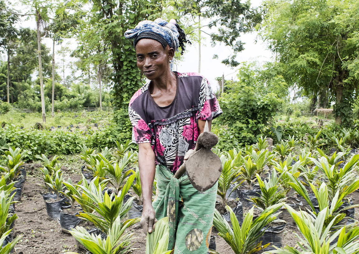 Eine Frau arbeitet mit einem Pflug auf einem Feld, auf dem Bäume wachsen in Nord-Kivu, Demokratische Republik Kongo.