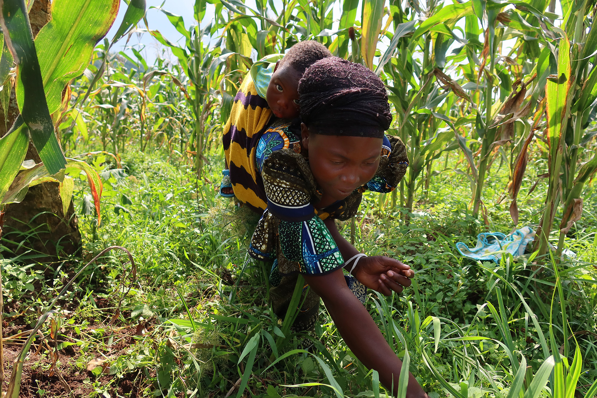 Eine Frau trägt ihr Baby auf dem Rücken, während sie auf dem Feld arbeitet, Kongo 2021.