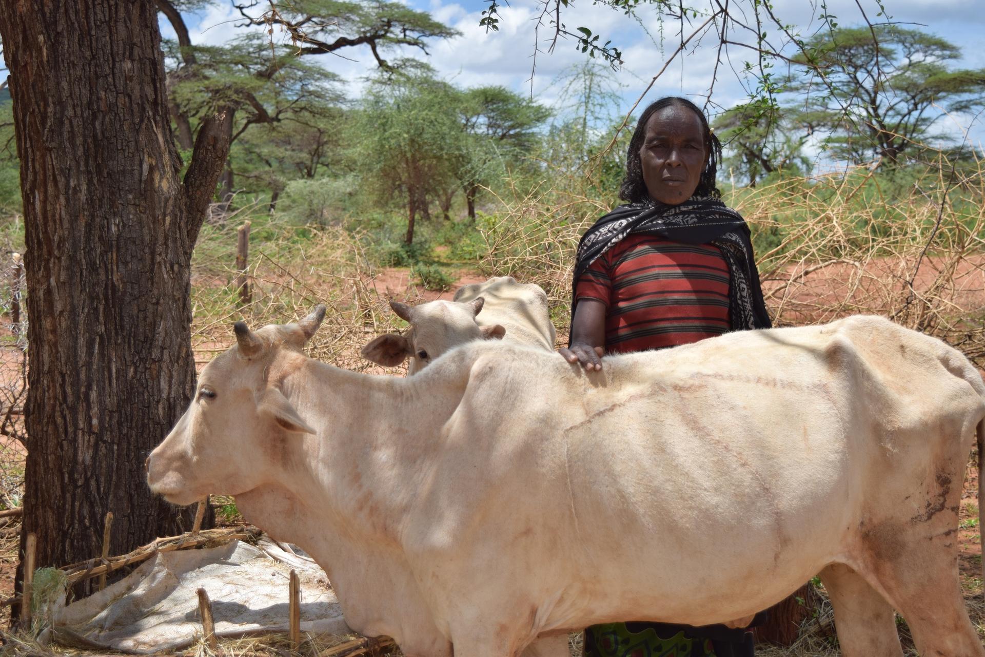 Kuhhirtin mit einer Ihrer Kühe.