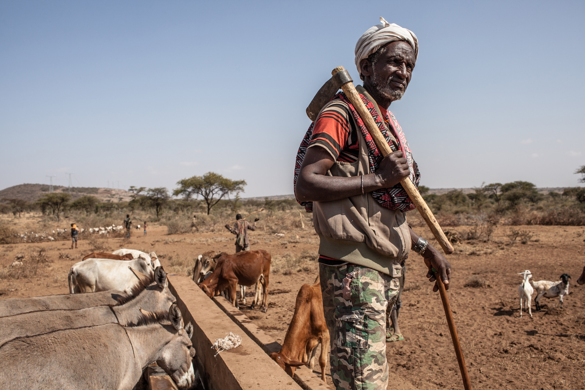 Ein Kleinbauer im Vordergrund, im Hintergrund sieht man eine Viehherde.