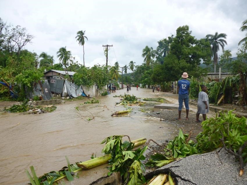 Verwüstete Straße mit zerstörten Häusern und abgeknickten Bäumen