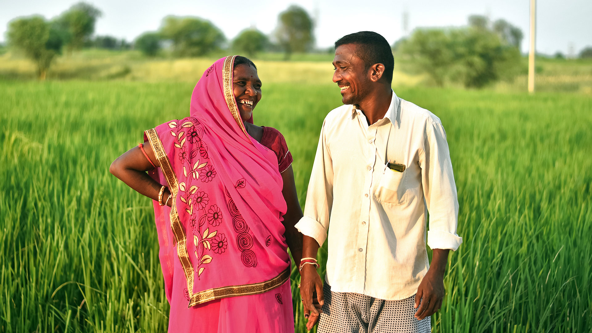 Eine indische Frau und ein indischer Mann stehen in einem grünen Feld und lachen sich an.