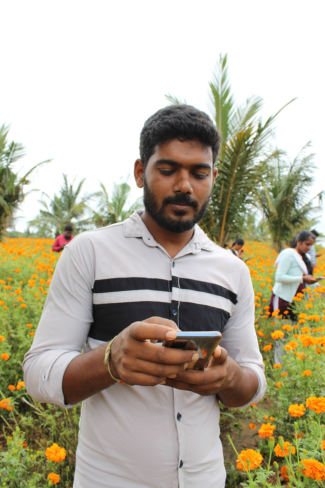 Ein junger Mann auf einem Acker in Indien schaut auf sein Smartphone.
