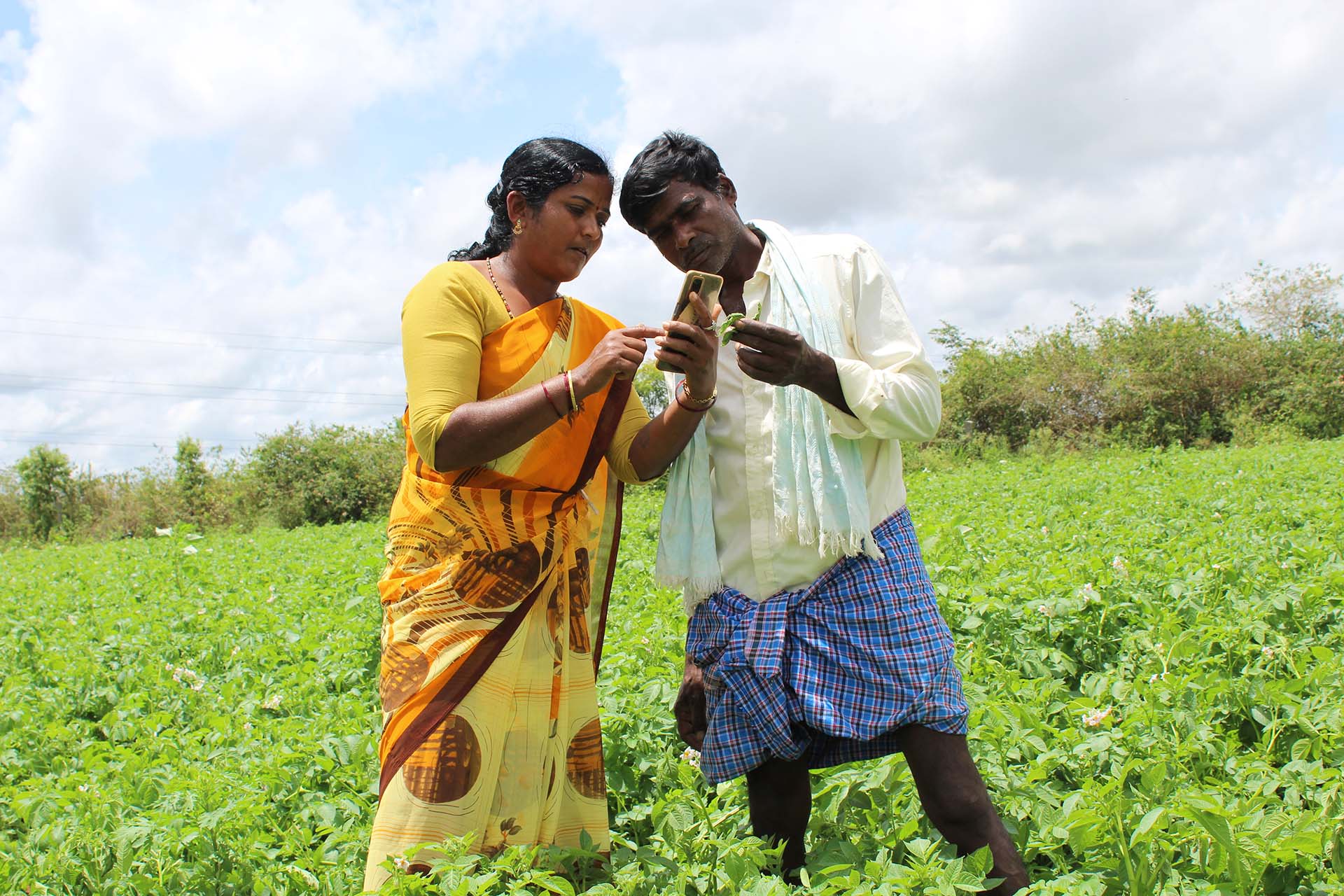 Eine indische Jugendliche erklärt einem Bauern auf einem Feld, wie er die App Sativus nutzen kann.
