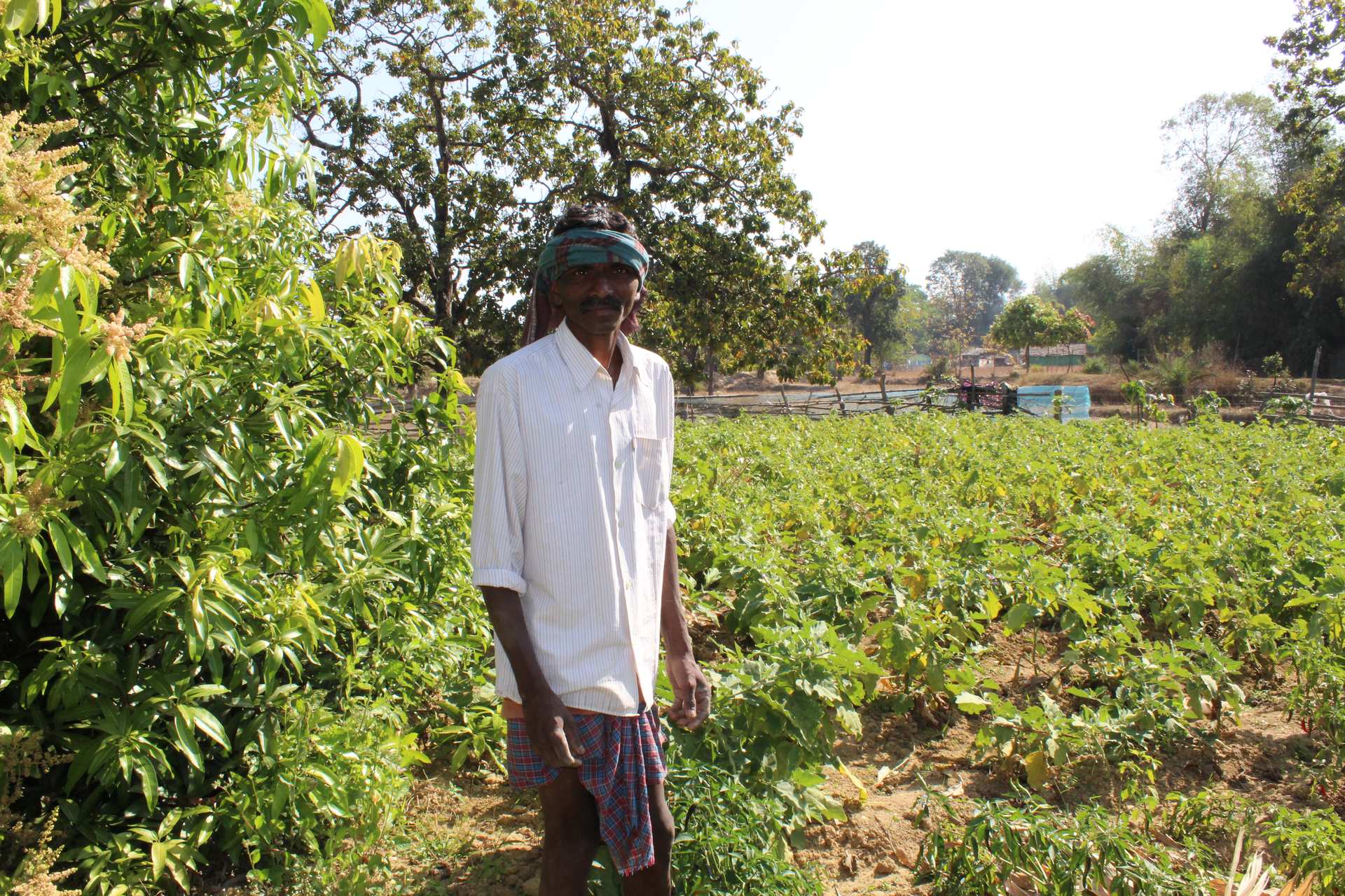 Ganeshwar Madi steht auf seinem Gemüsefeld, Malkangiri, Indien, 2023