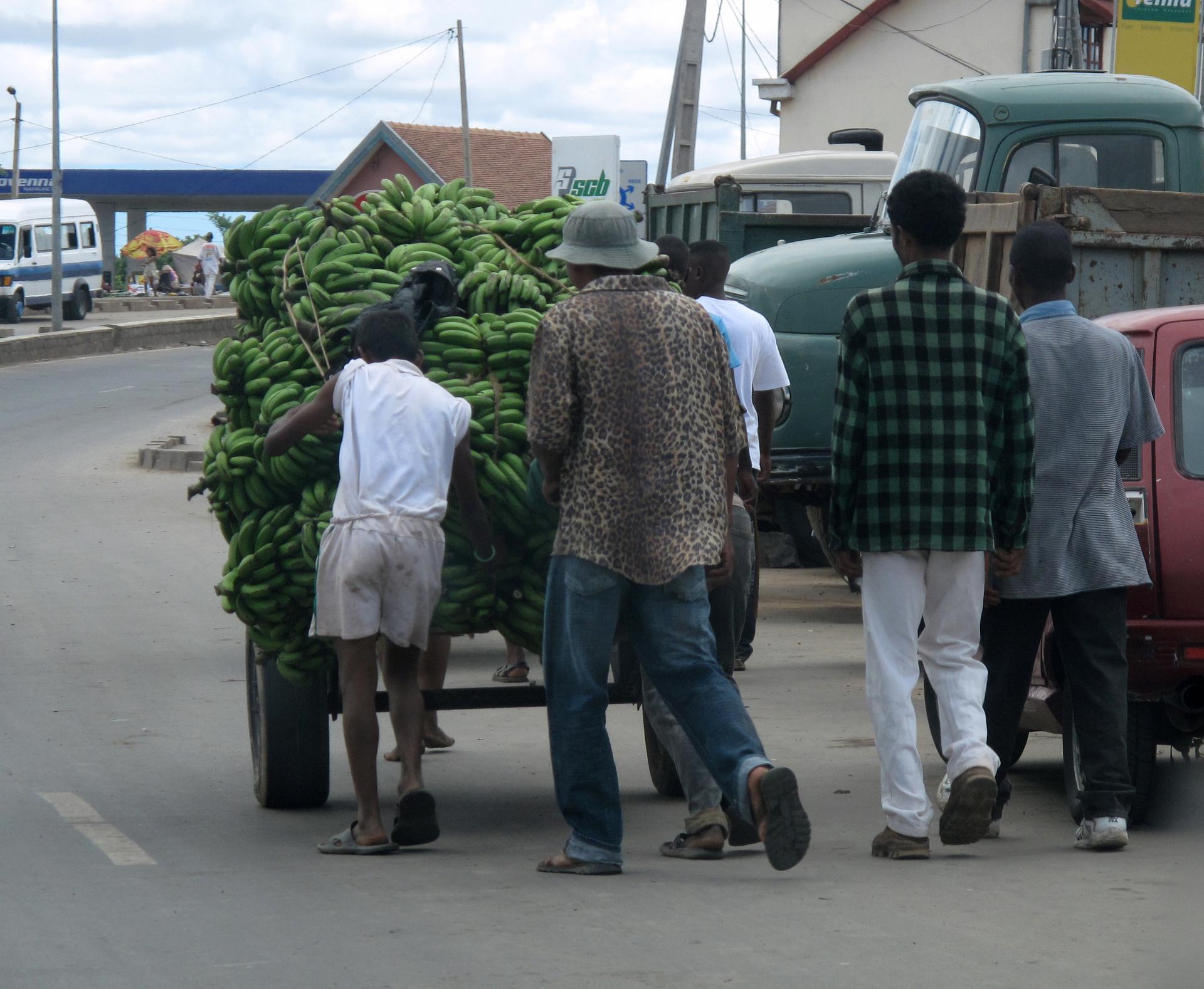 Bananentransport in Madagaskar Ein Karren voller Bananen.