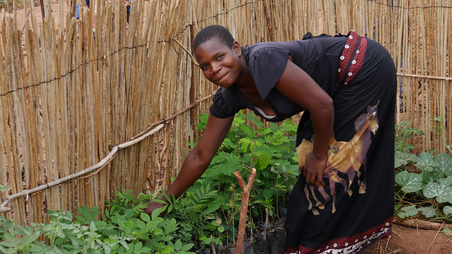 Permakultur, Malawi, Frau im Garten