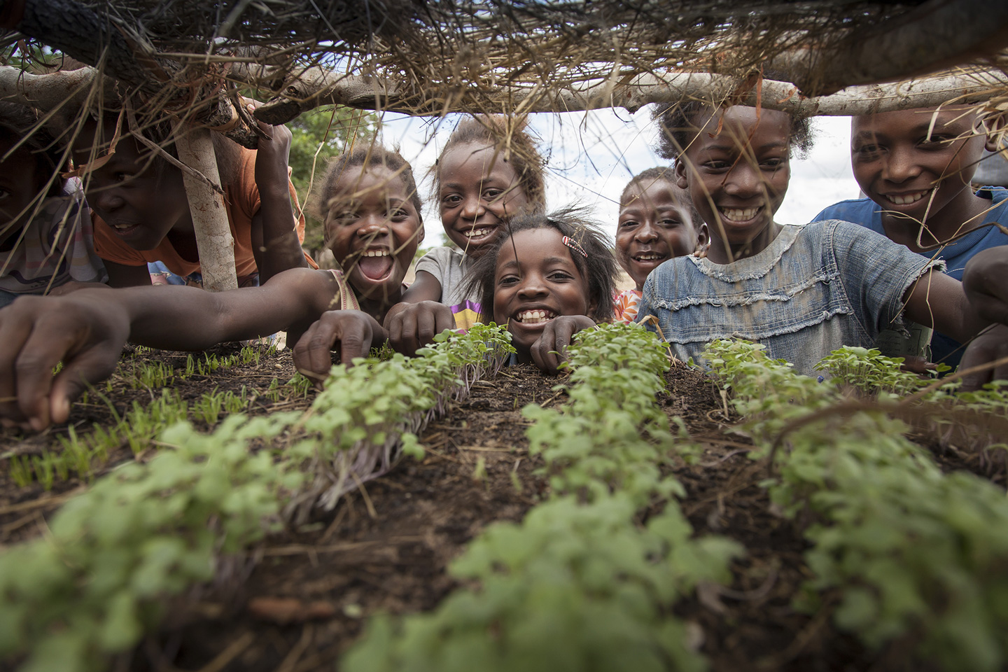 Kinder gucken sich den Anbau von Pflanzen an