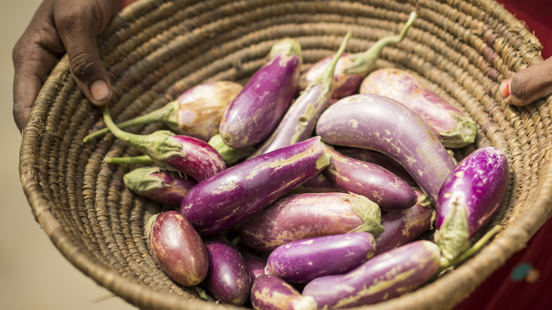 Gemüse in einem Korb