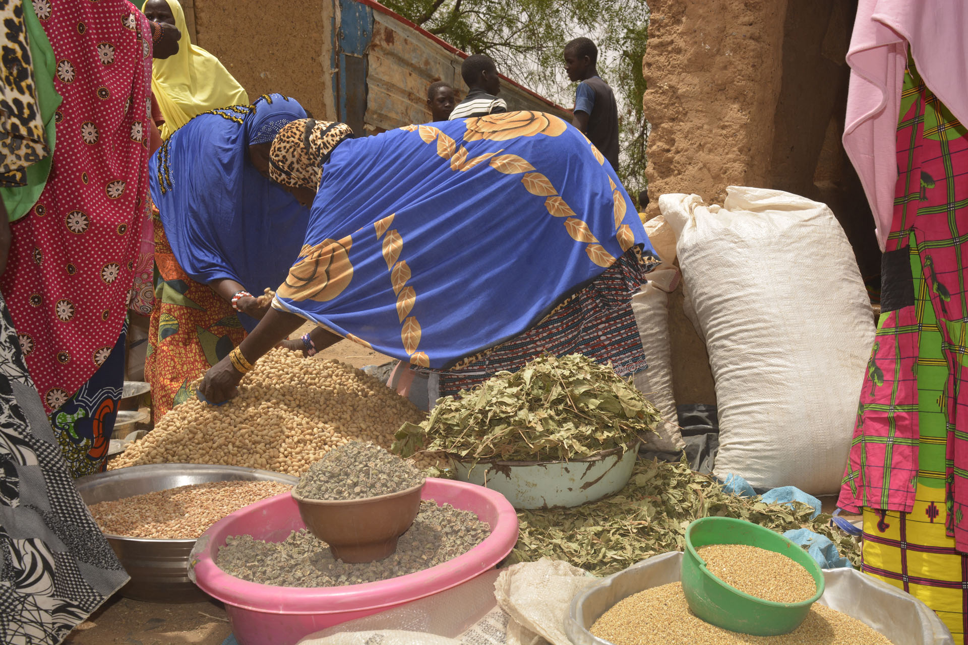 Frauen organisieren verschiedene Getreidesorten in Schüsseln