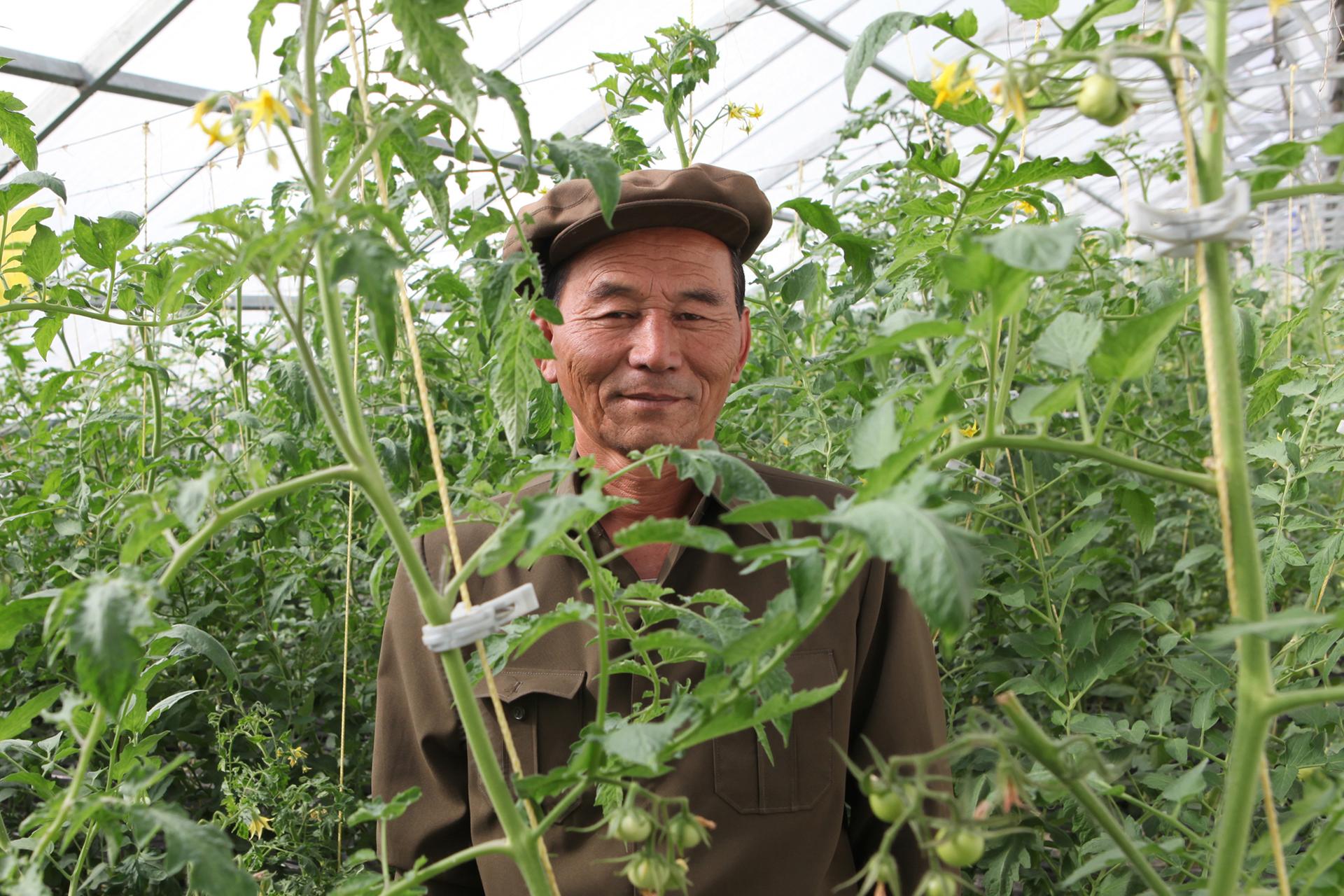 Landwirtschaft in Nordkorea