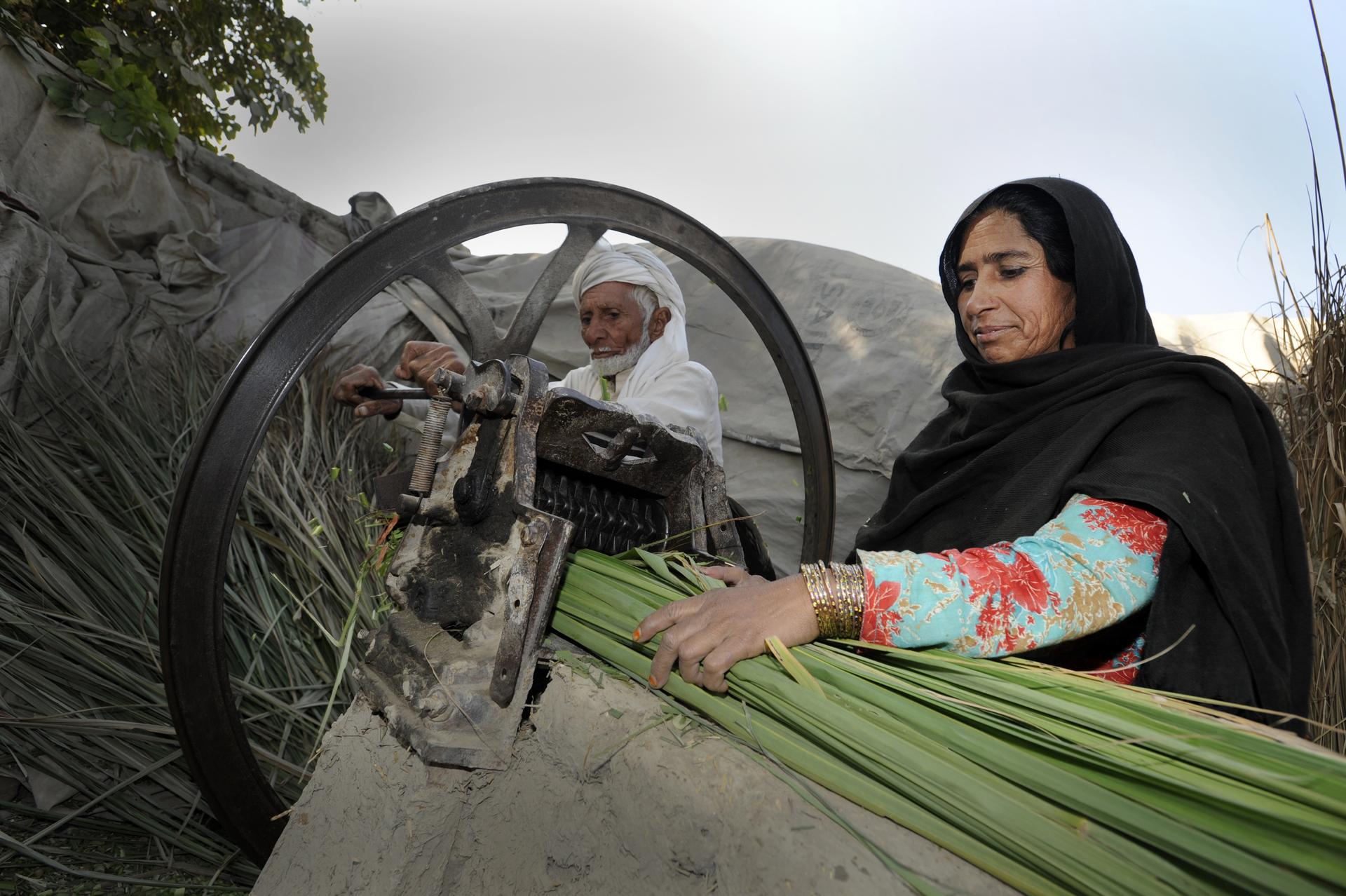 Sichere Lebensgrundlagen schaffen