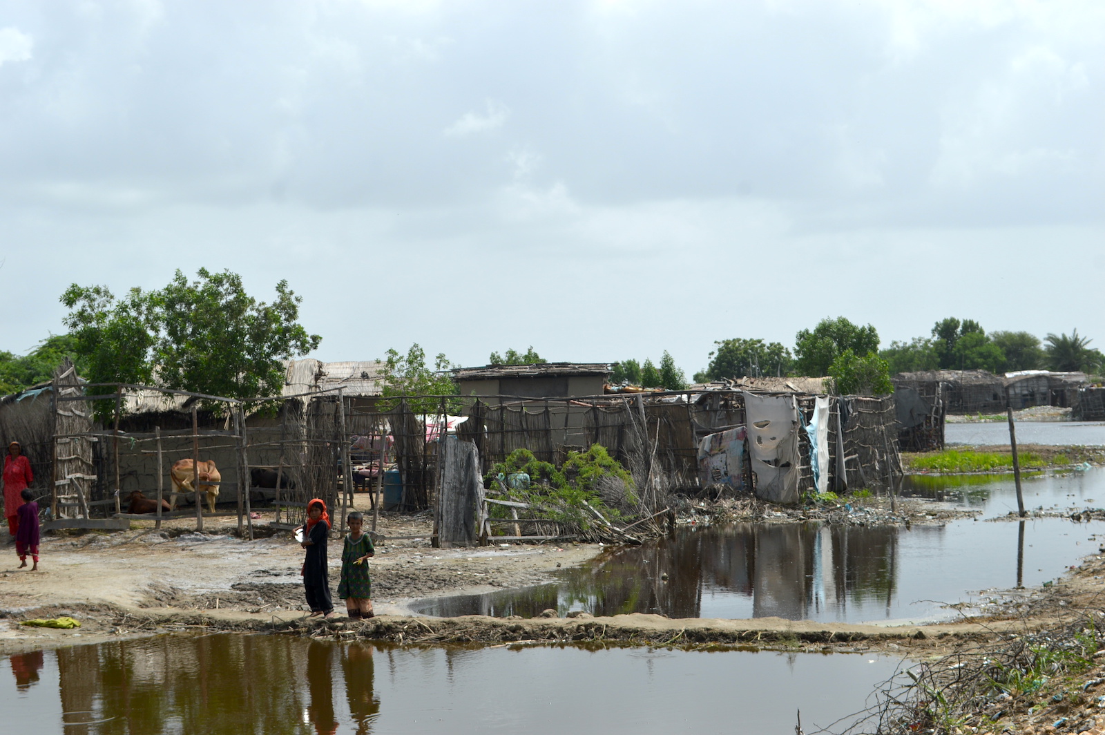 Die Auswirkungen von Überschwemmungen in dem Dorf Hassan Ghono im Distrikt Sujawal.