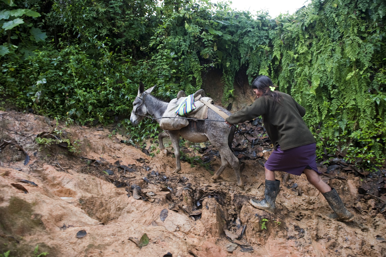 Eine Frau treibt ihren Esel an, damit sie es durch den Schlamm schaffen, Peru.