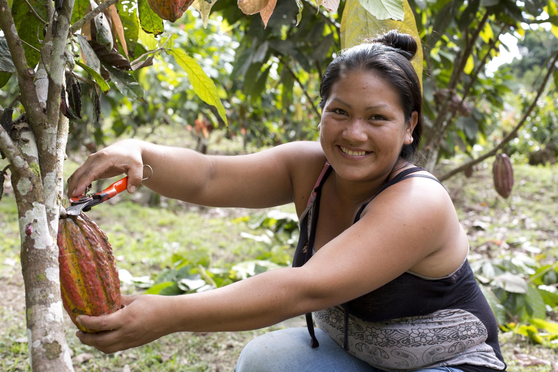 Landrechte von Kleinbauern stärken.