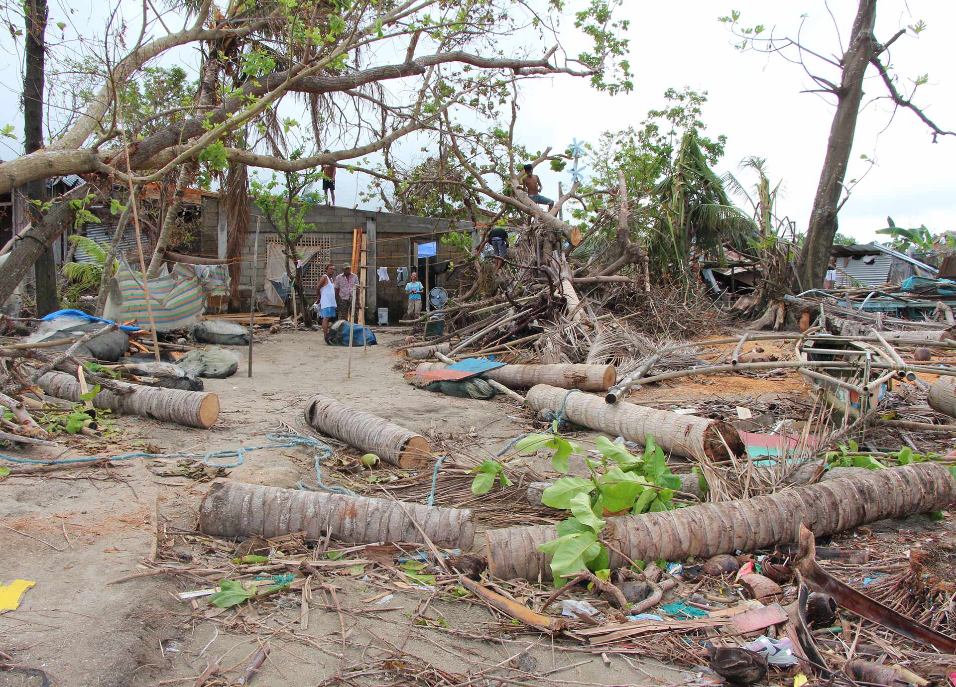 Umgestürzte Bäume und zerstörte Häuser.