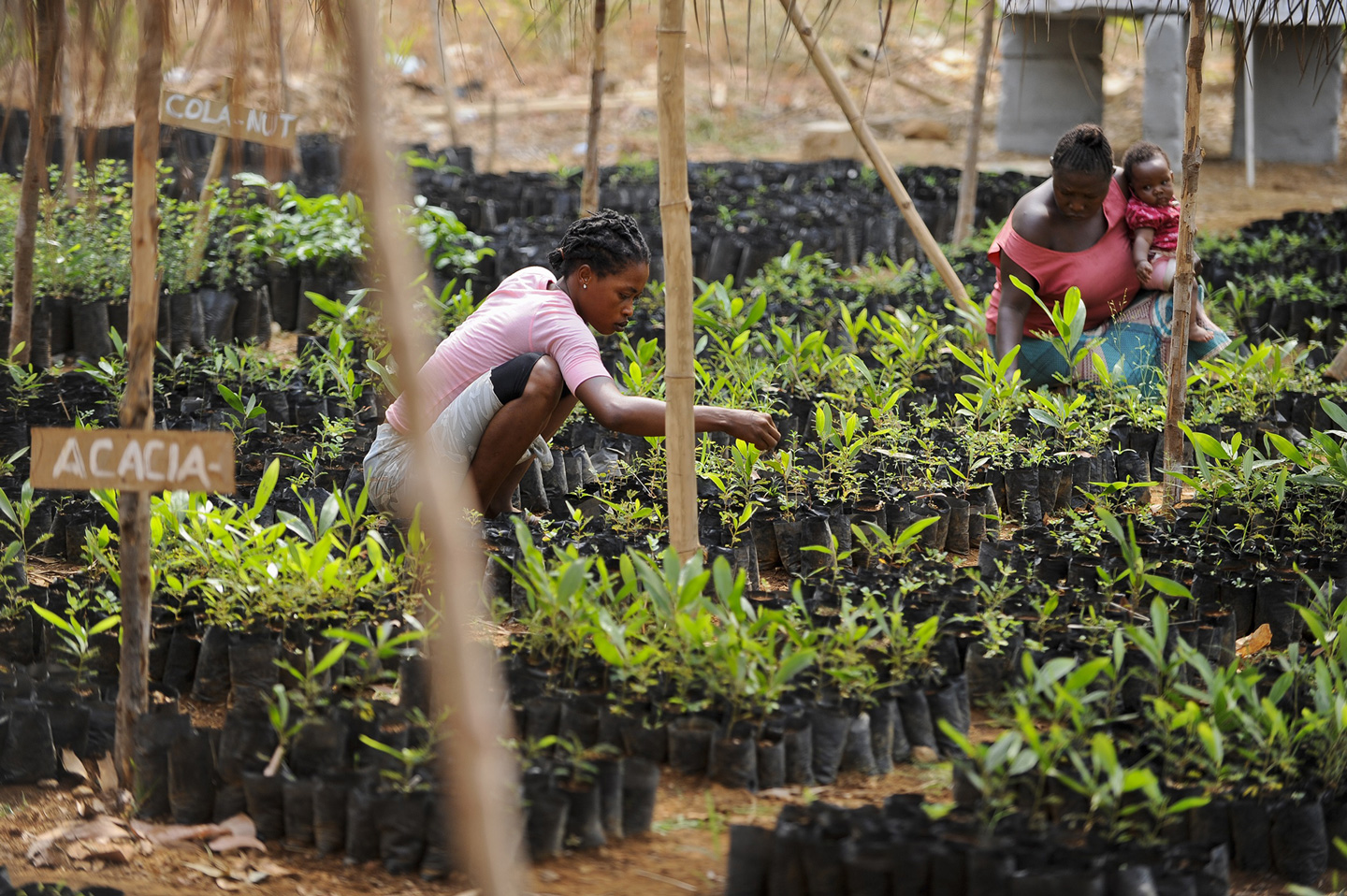 Afrika Sierra Leone WAPFor Projekt der Deutschen Welthungerhilfe