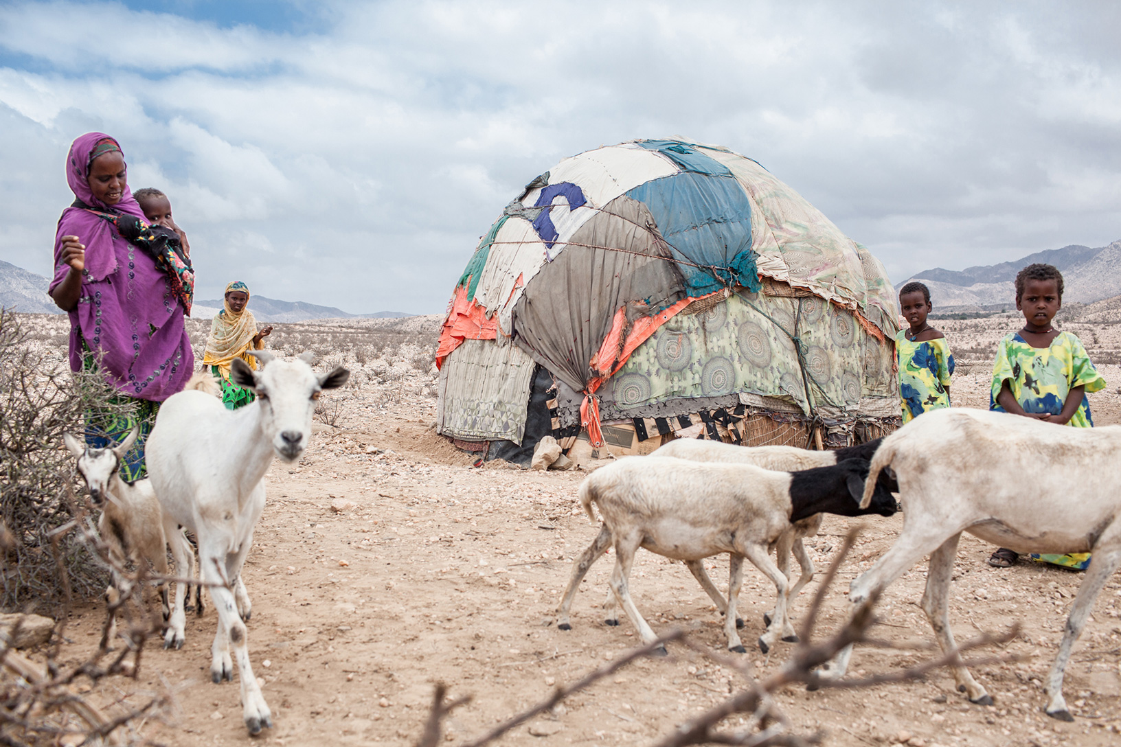 Jetzt Auswirkungen des Klimawandels eindämmen. Bild: Frauen, Kinder und mehrere Ziegen stehen neben einer Unterkunft aus Laken und Holz.