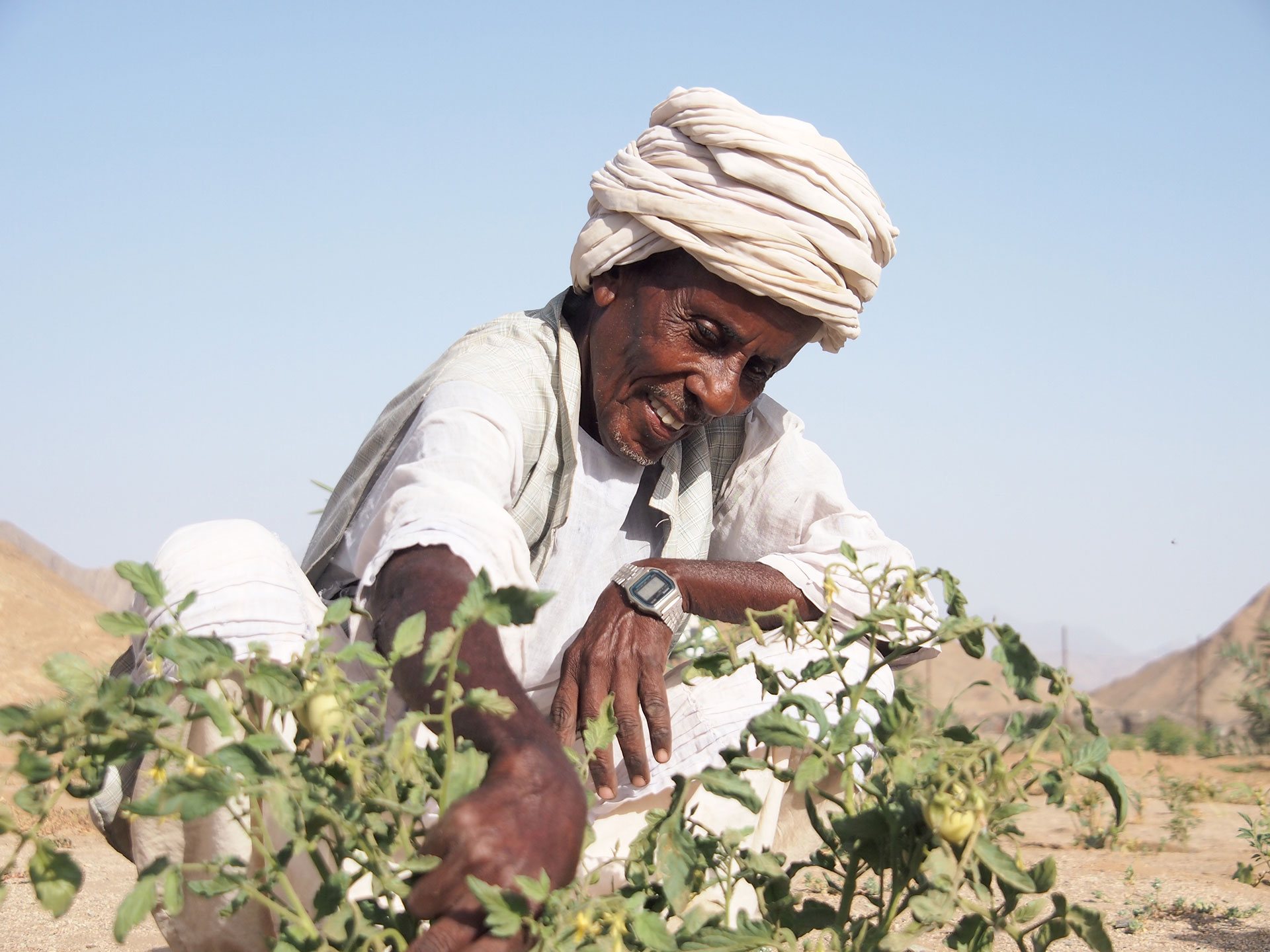 Mann im Gemeinschaftsgarten.
