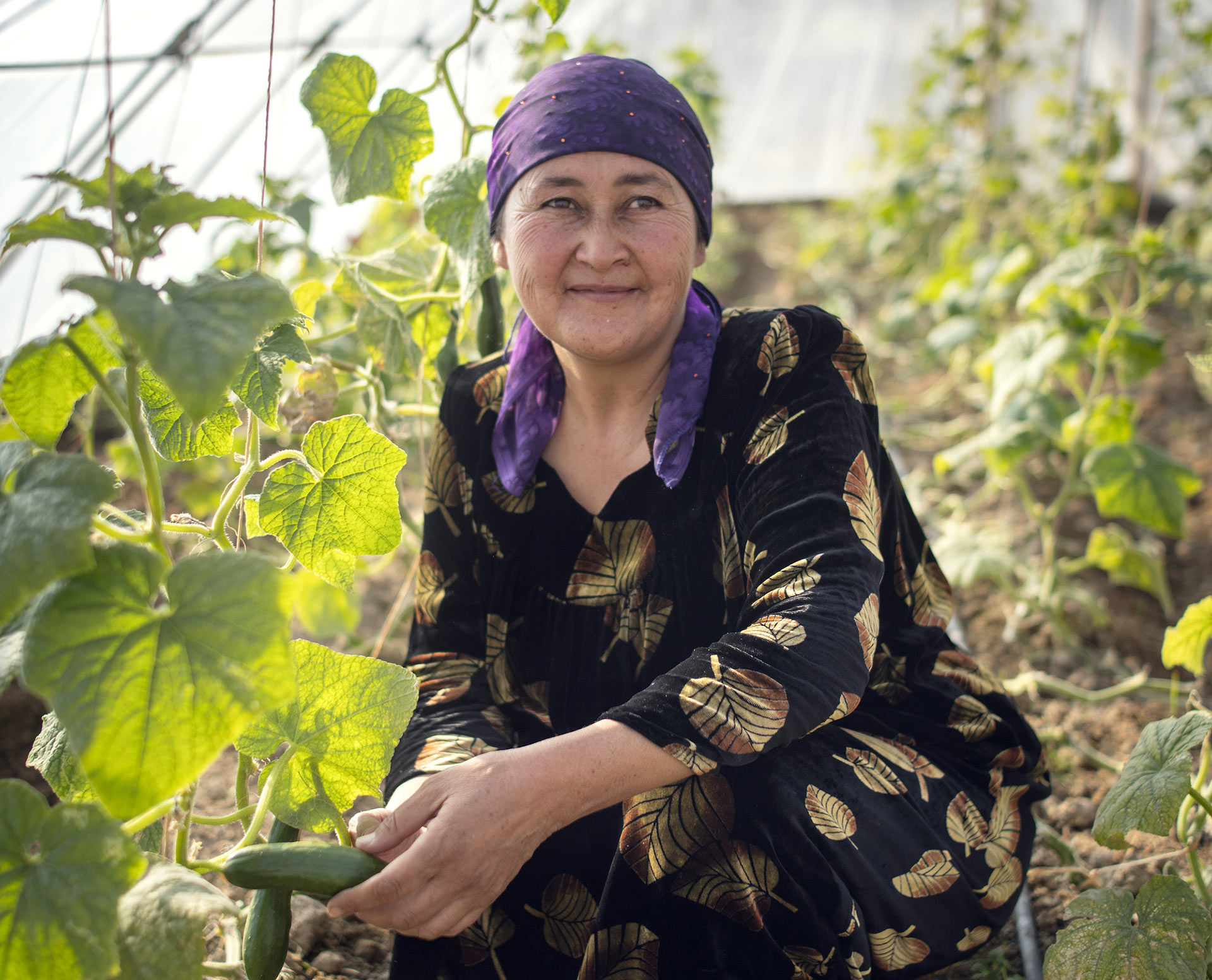 Eine Frau in einem Gewächshaus in Tadschikistan.