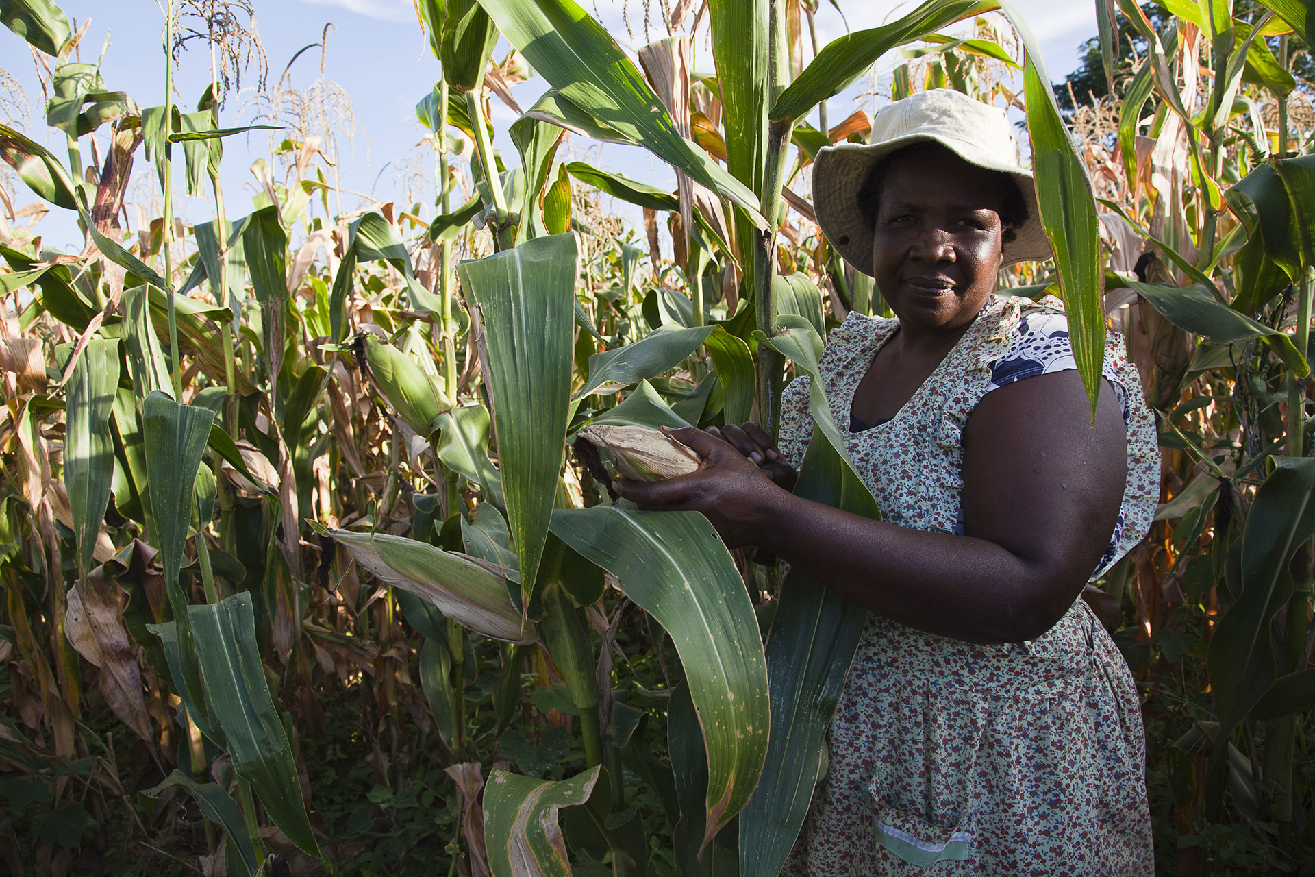 Zimbabwe Projekte 2014, Simbabwe projects 2014