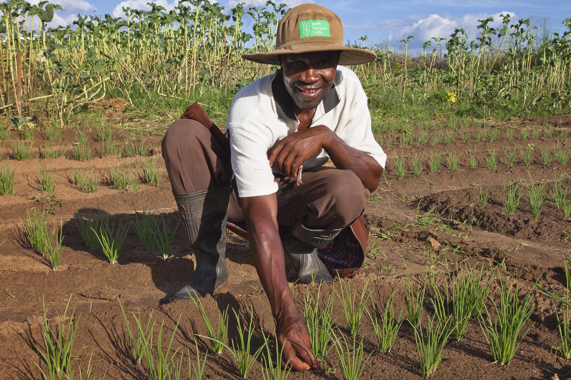 Zimbabwe Projekte 2014, Kleinbauern in Simbabwe