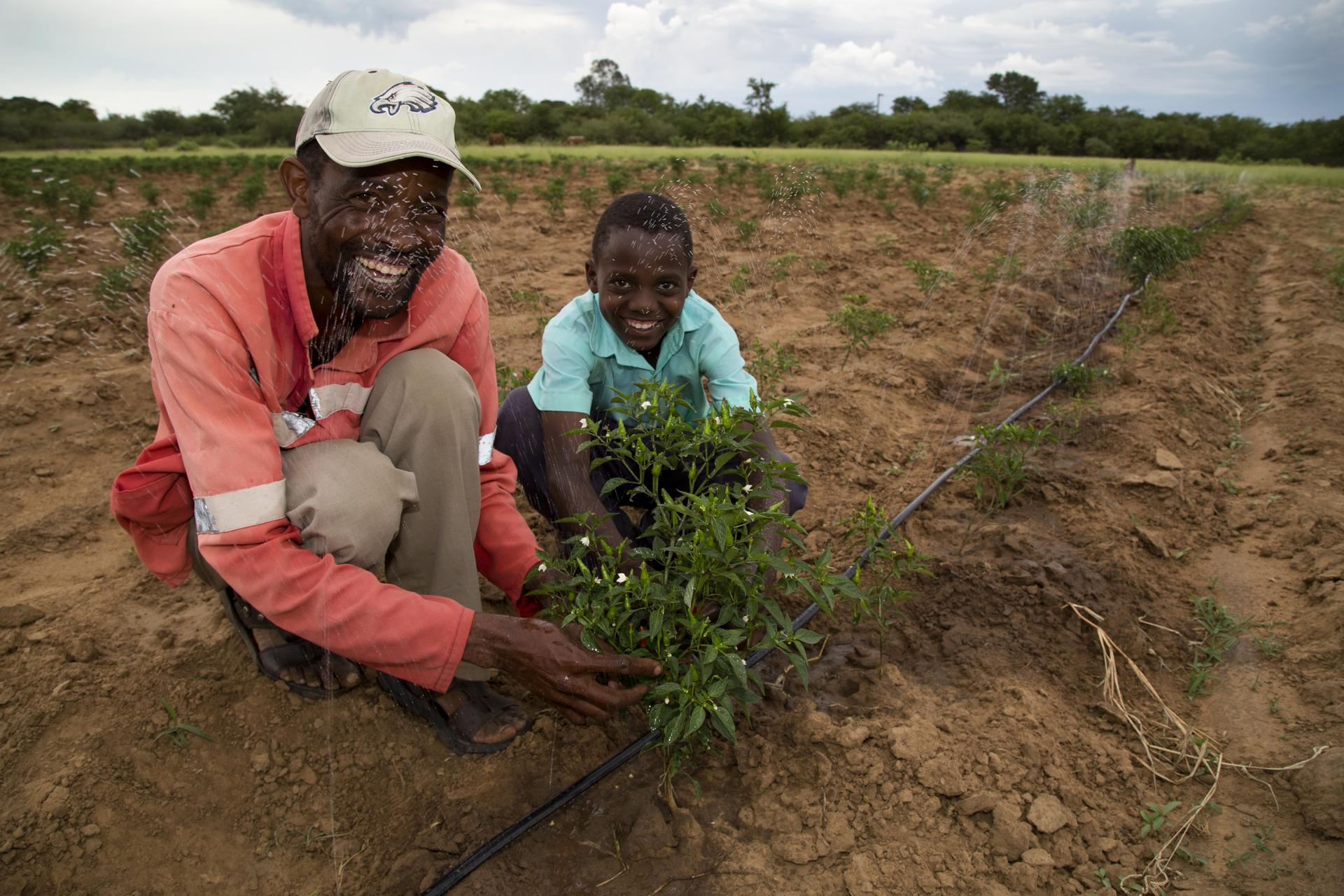 Innocent Chifamba hockt mit einem Jungen auf dem Feld und zeigt glücklich die Chili-Pflanzen