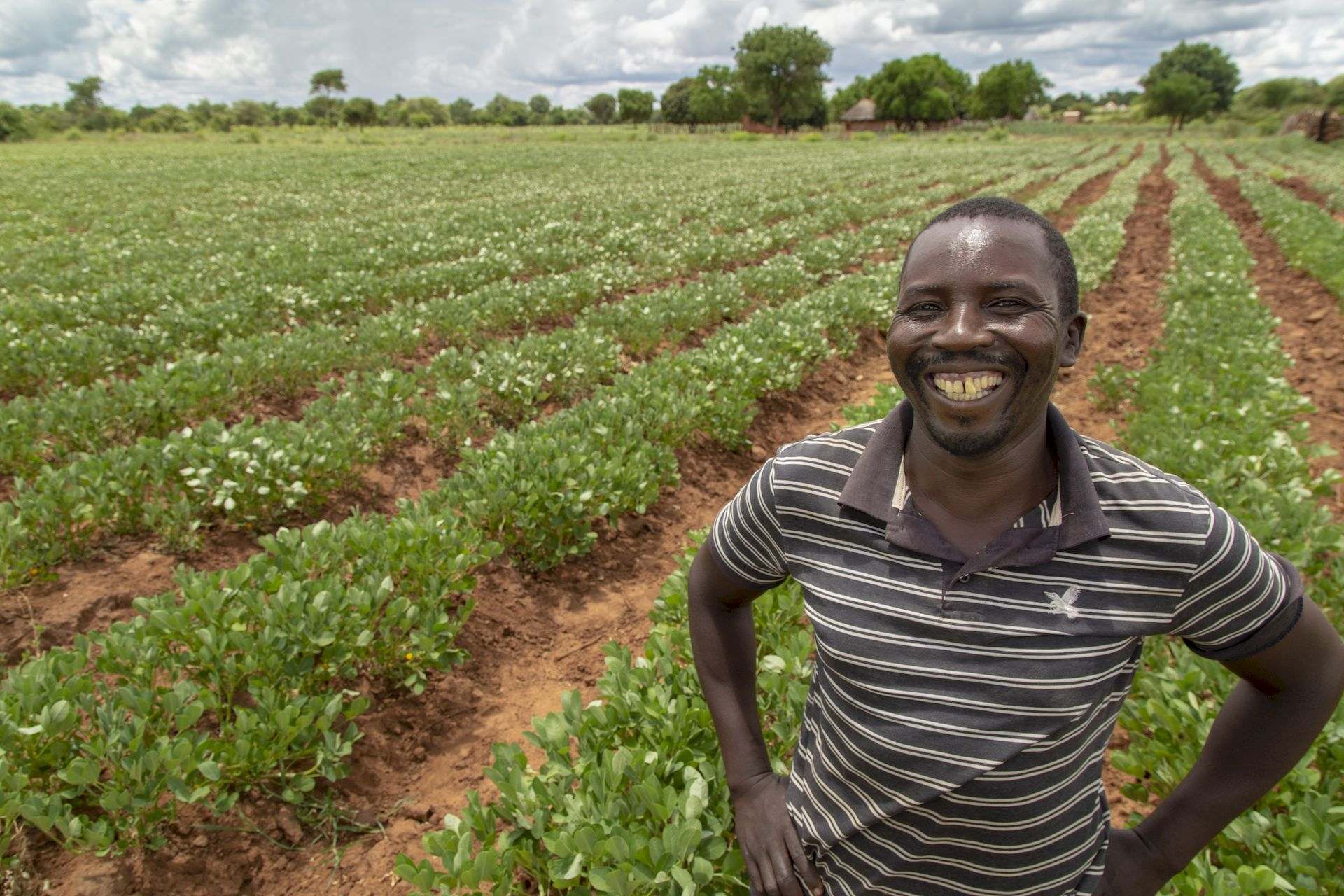 Entwicklungszusammenarbeit: Ein Mann steht lächelnd vor einem Feld mit langen Pflanzenreihen.