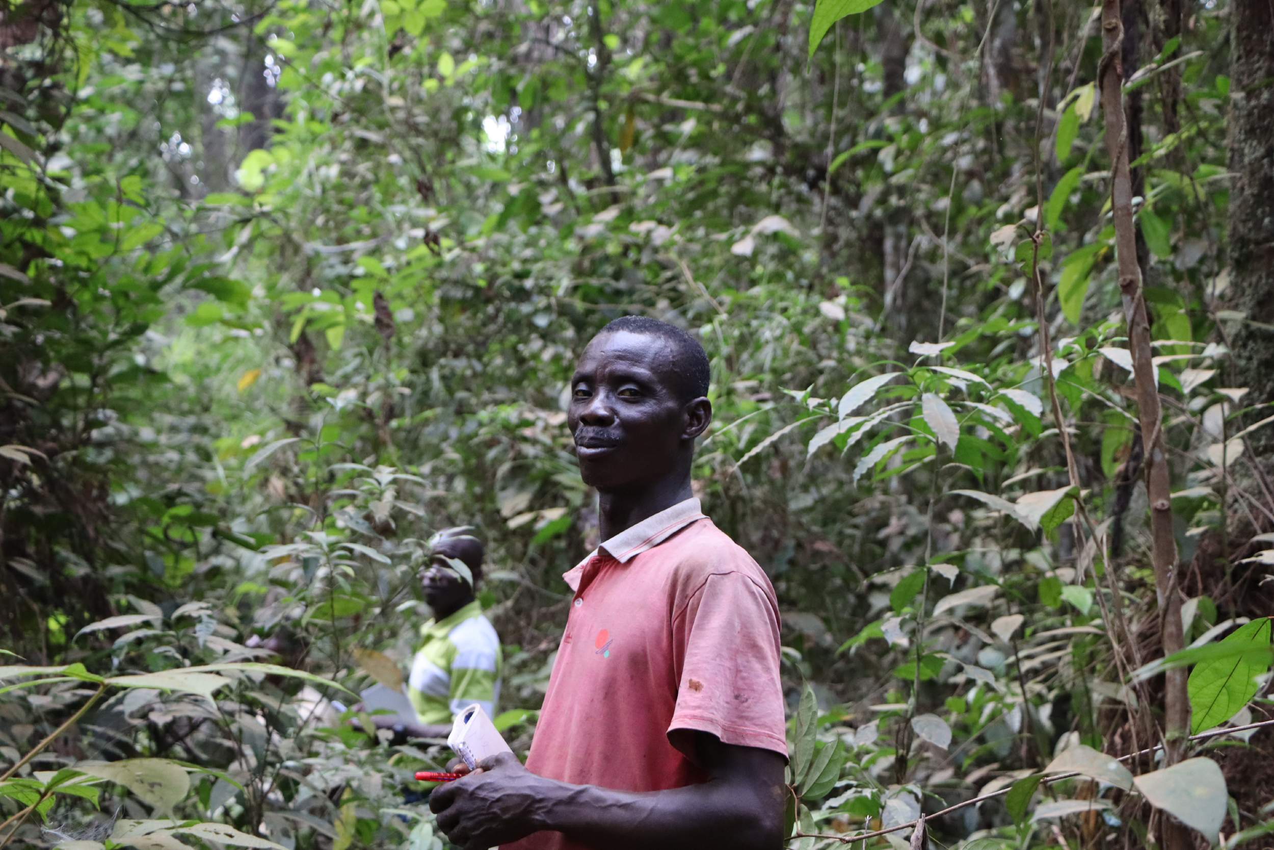 Land-Plantage Liberia
