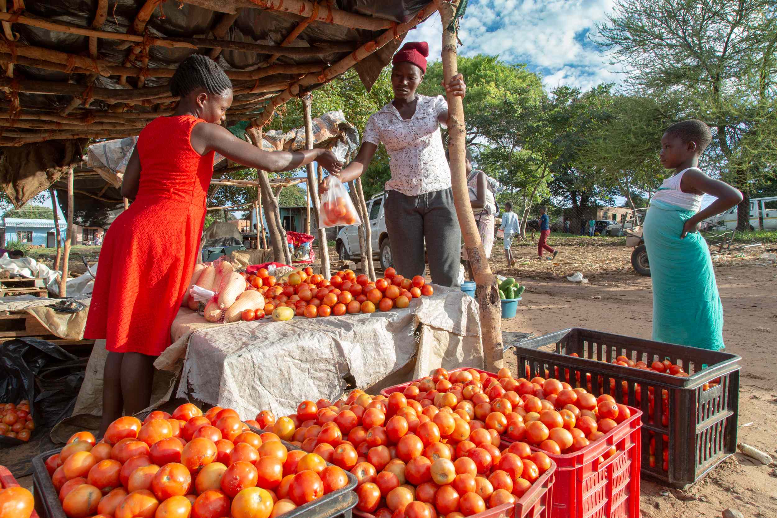 Menschen auf einem Marktstand in Simbabwe, die durch den Anstieg der Lebensmittelpreise nur noch das Nötigste kaufen können.