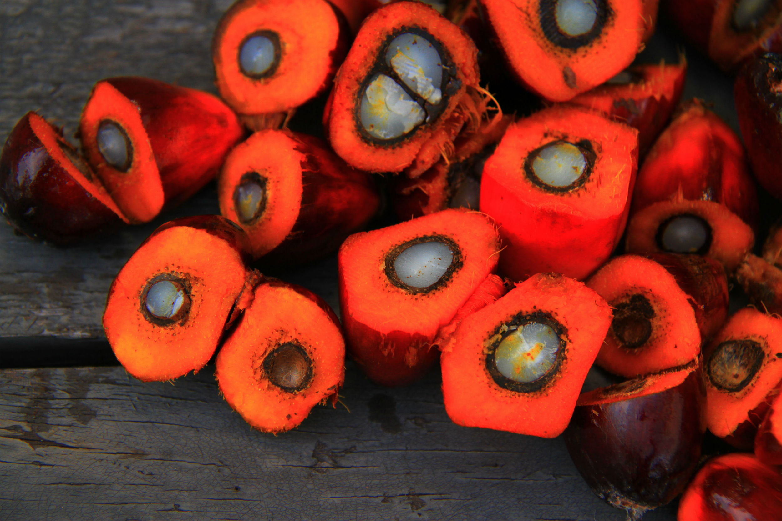 Palm oil fruit cut open: red on the outside, white on the inside