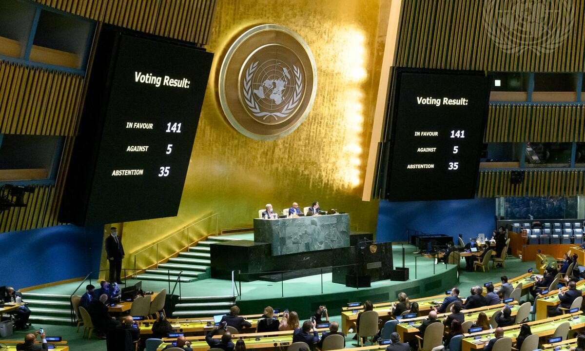 UN_Vote_Assembly_Ukraine.jpg