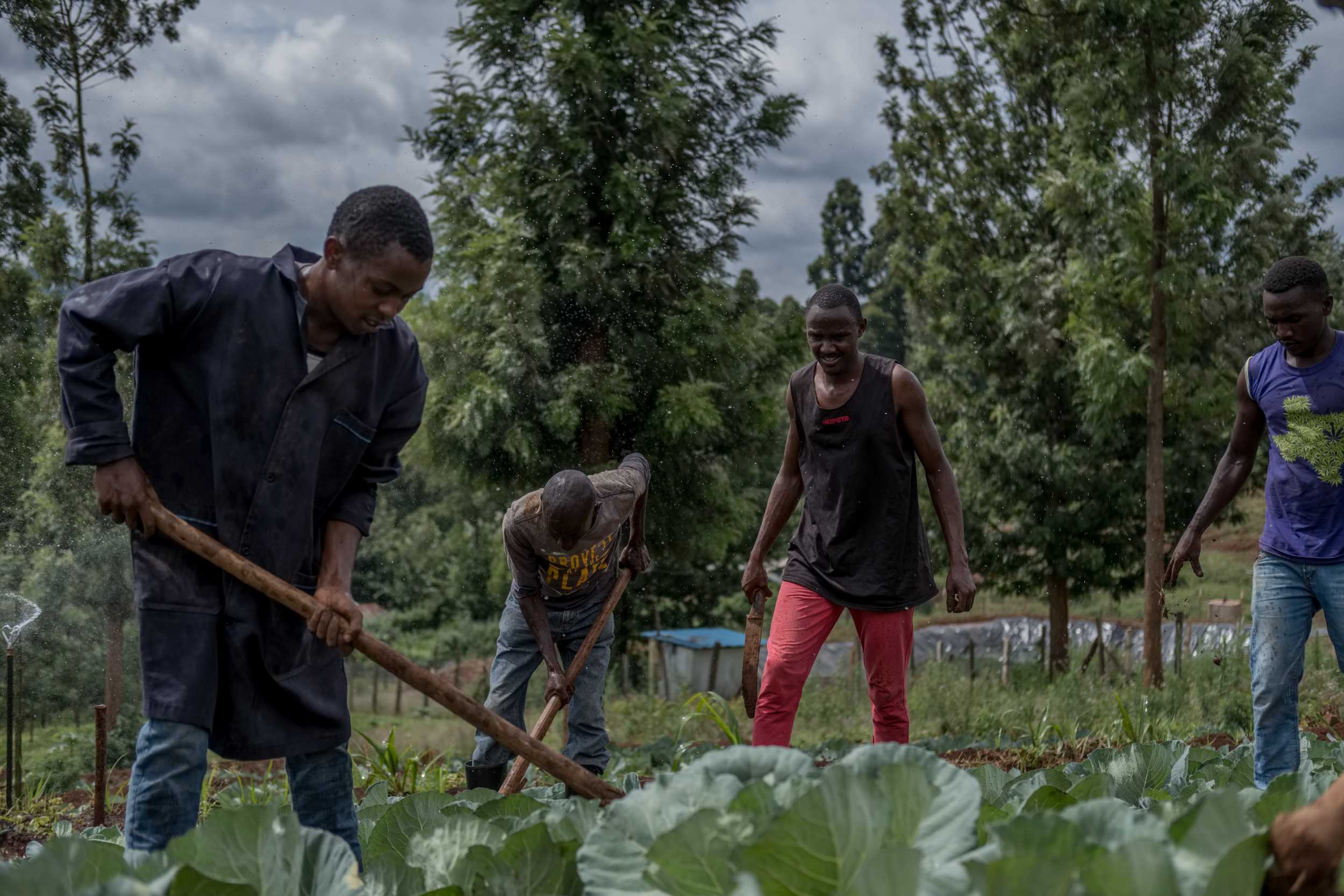 Studenten beim Gärtnern, Kenia.