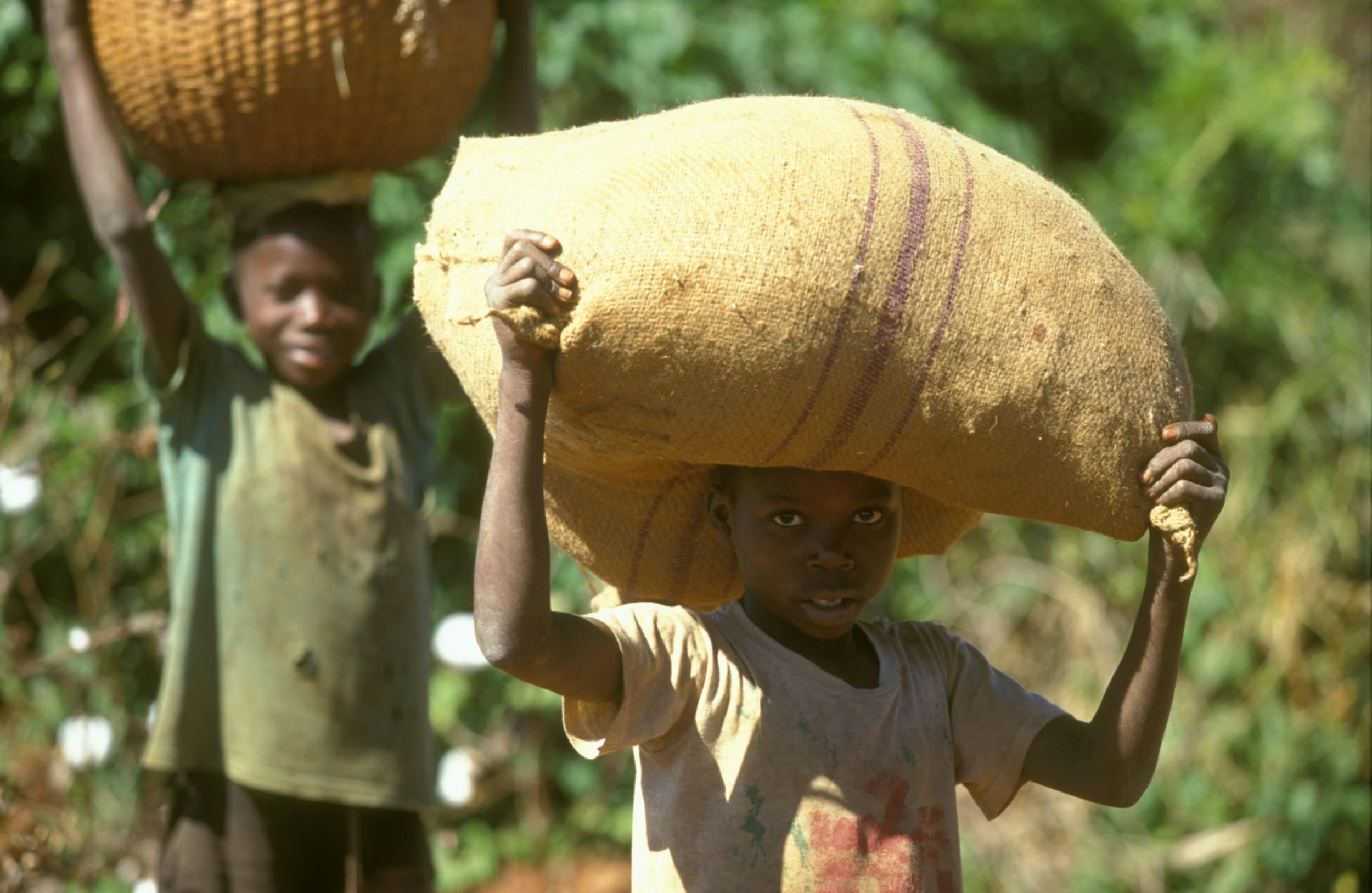 Zwei Kinderarbeiter tragen Säcke und Körbe mit geernteter Baumwolle auf dem Kopf, Mosambik.