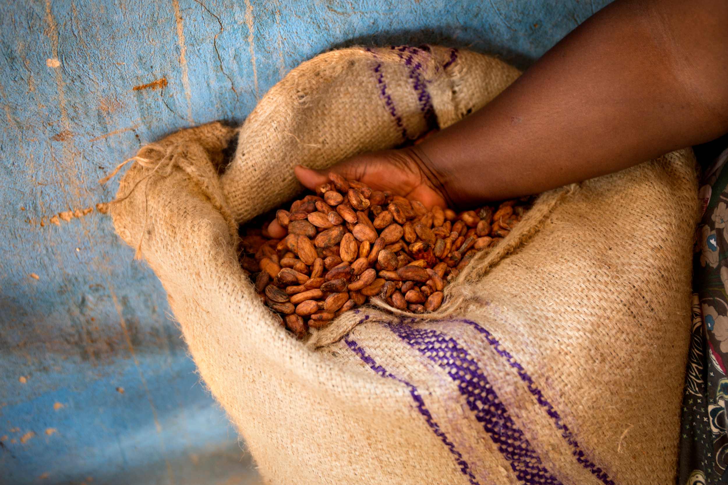 Ein Sack voller Kakaobohnen.