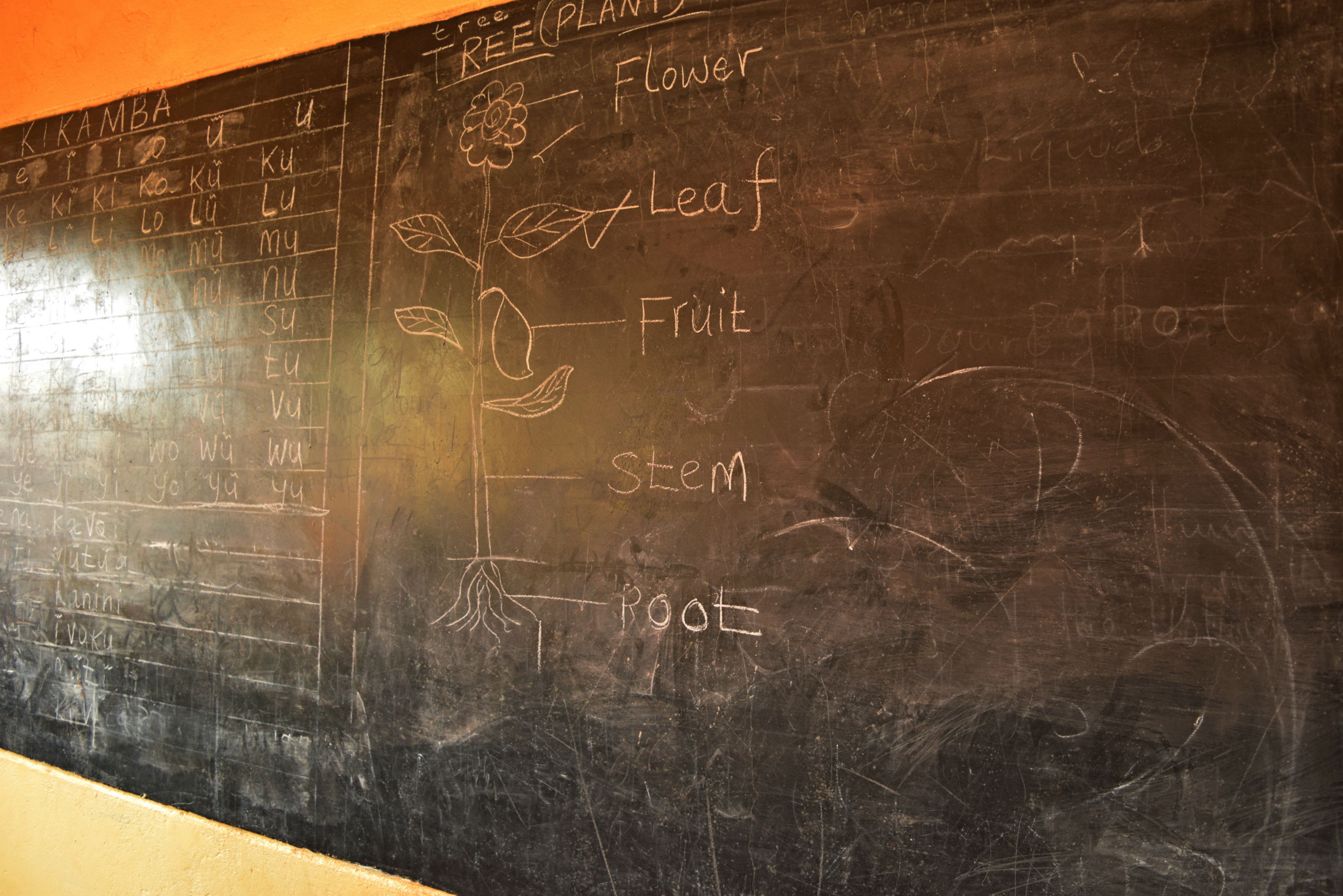 Eine gezeichnete Blume auf einer Schultafel.