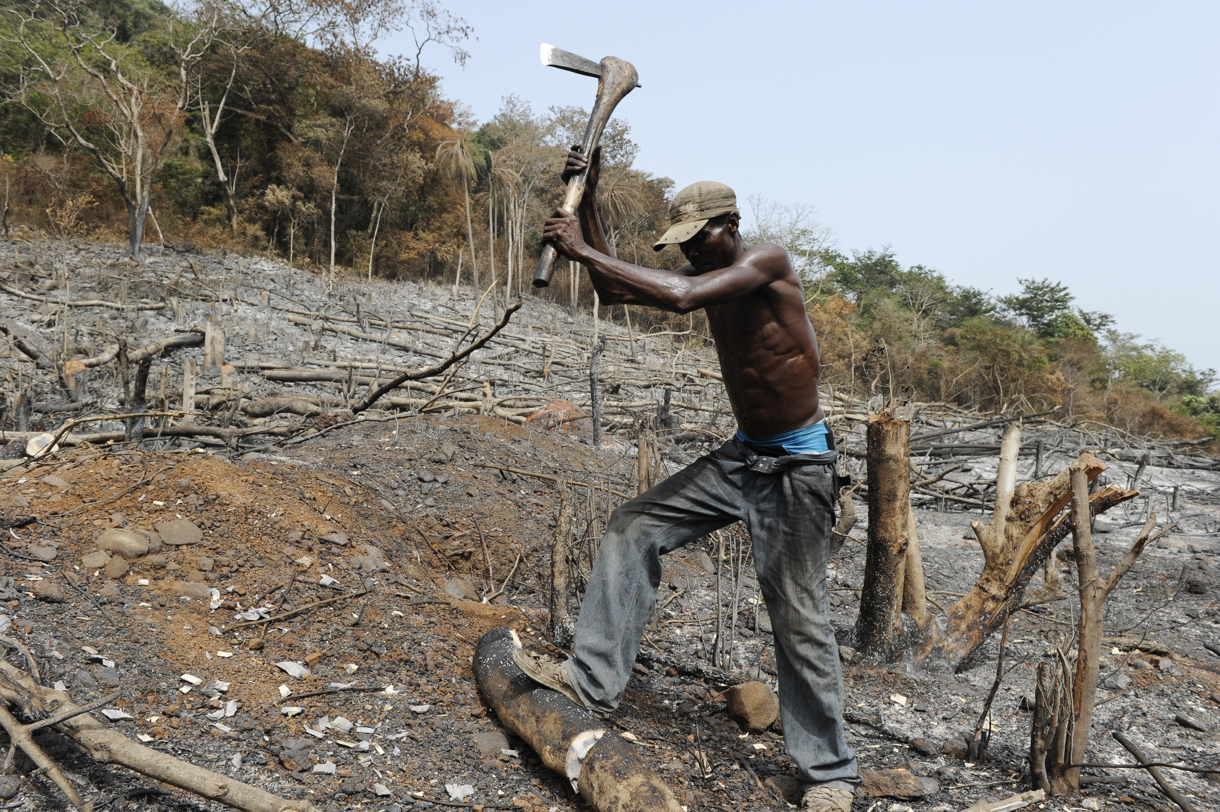Afrika Sierra Leone WAPFor Projekt der Deutschen Welthungerhilfe