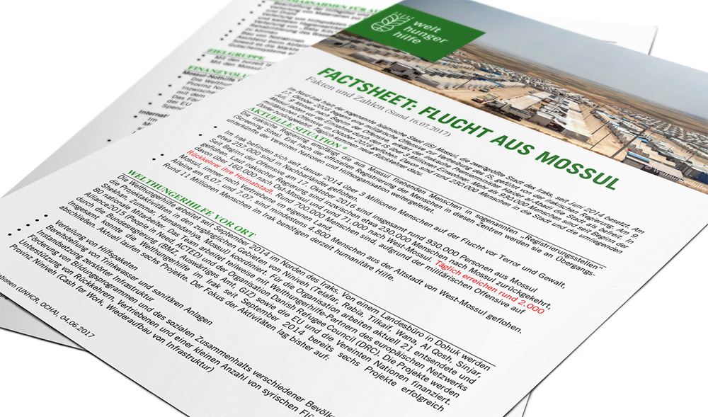 Deckblatt: Factsheet zur Flucht aus Mossul - Fakten und Zahlen