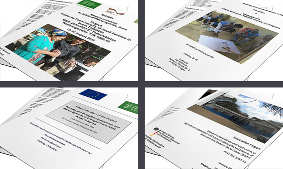 Grafik Evaluation Report English.