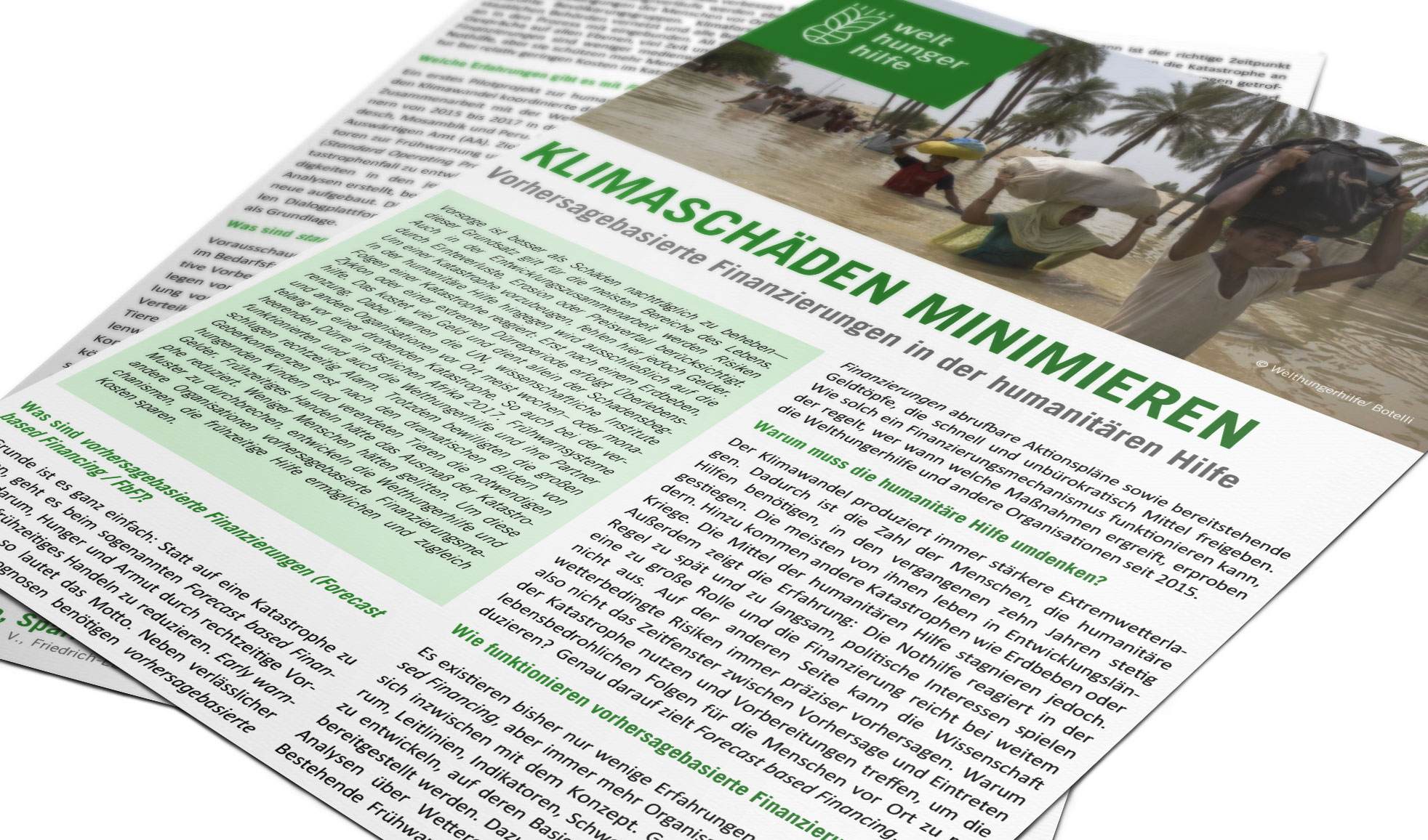 Teaserbild Factsheet Klimaschäden minimieren