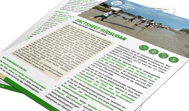 Teaser Factsheet Südsudan