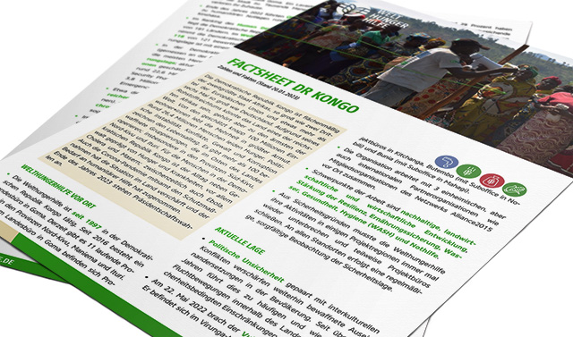 Teaser Factsheet DR Kongo