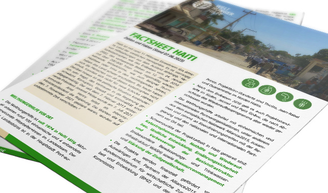 2021-teaser-factsheet-haiti-erdbeben.jpg