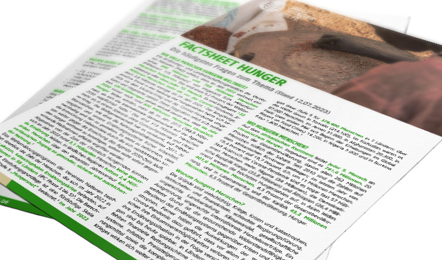 Deckblatt Factsheet Hunger 2013