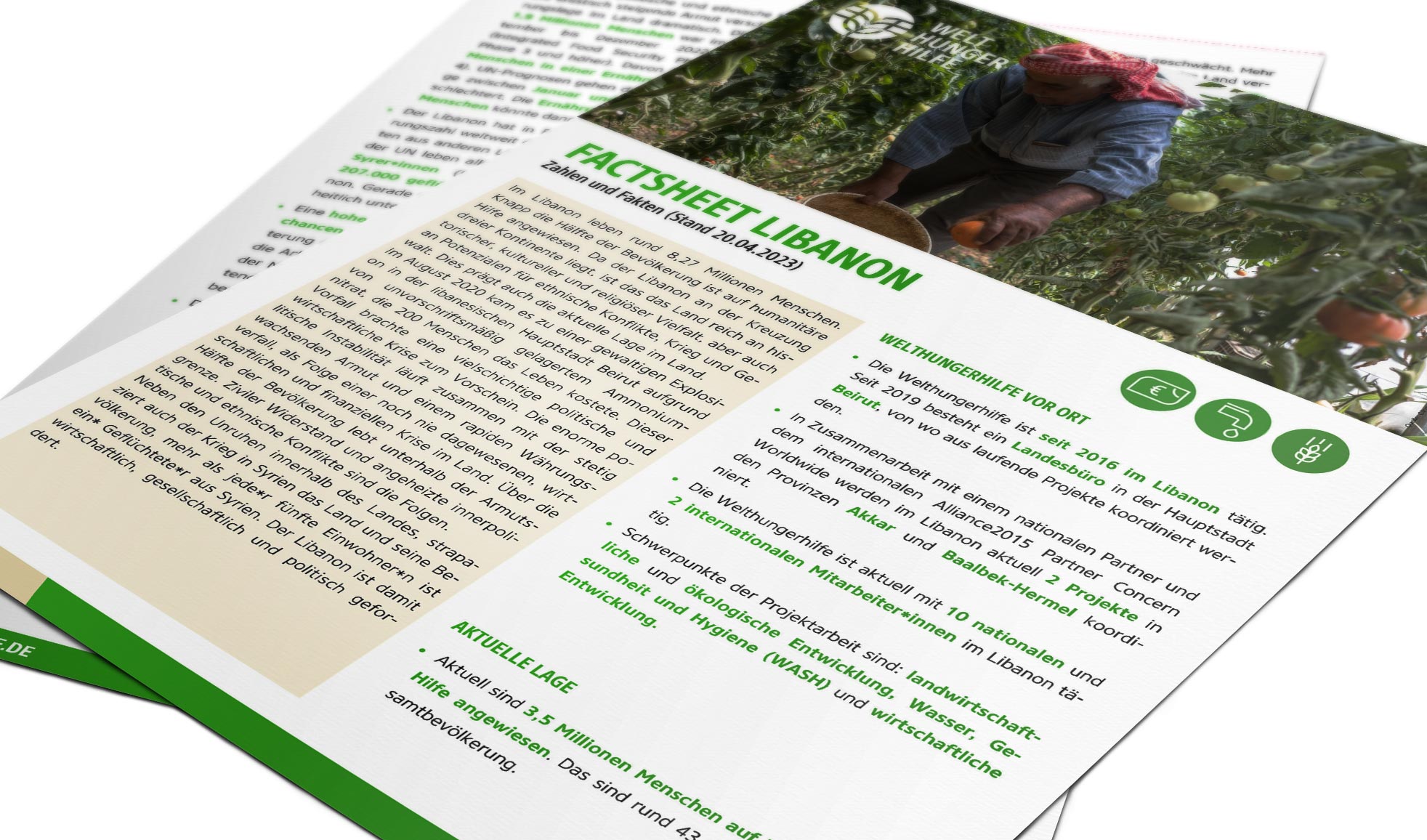  Vorschaubild des Factsheets zur Arbeit der Welthungerhilfe im Libanon