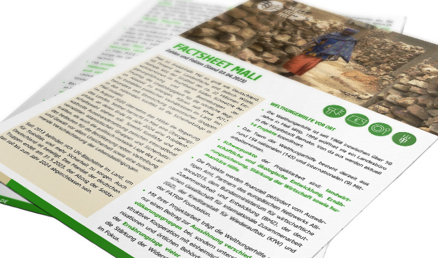Vorschau des Factsheets zur Arbeit der Welthungerhilfe in Mali.