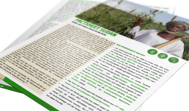 Vorschau des Factsheets zur Arbeit der Welthungerhilfe im Sudan